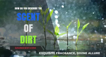 The Earthy Aroma of Soil: Unraveling the Scent of Dirt