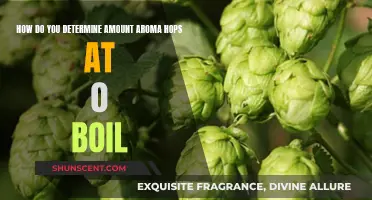 Calculating Aroma Hops for Zero Boil Beers