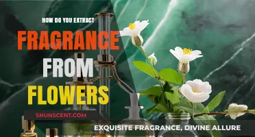 Unveiling the Art of Floral Fragrance Extraction: A Guide