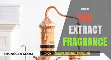 Unveiling the Art of Fragrance Extraction: A Comprehensive Guide