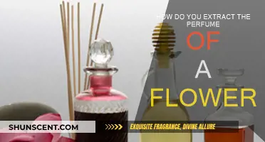 Unlocking Floral Scents: Extracting Perfume from Petals
