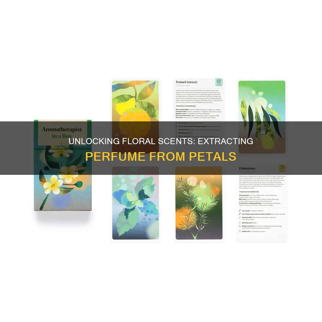 how do you extract the perfume of a flower