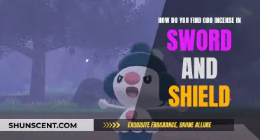 Where to Find Odd Incense in Sword and Shield