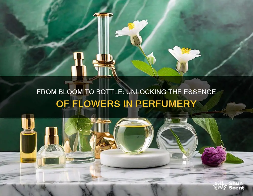 how do you get fragrance from flowwer to pefume