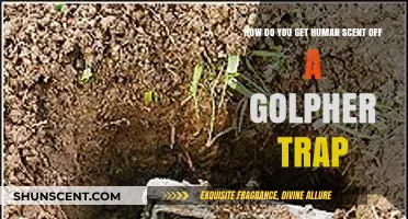 Removing Human Scent from Gopher Traps: Effective Techniques for Success