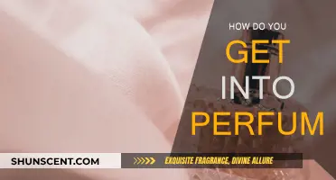 Explore the Fragrance World: A Beginner's Guide to Perfume