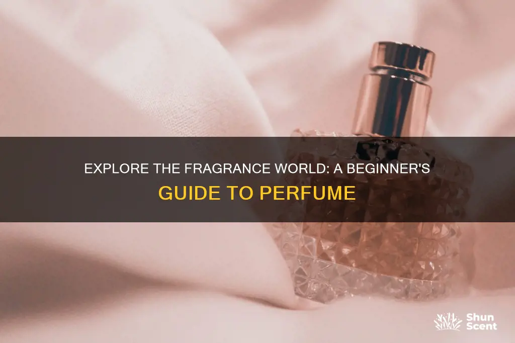 how do you get into perfume
