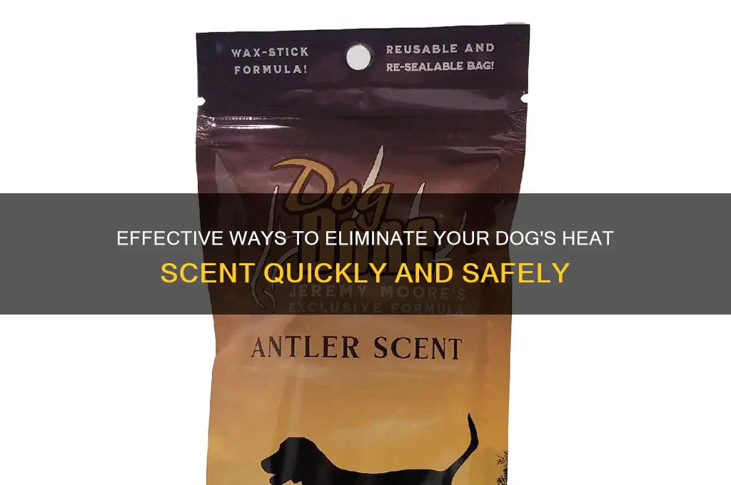 how do you get rid of a dogs heat scent