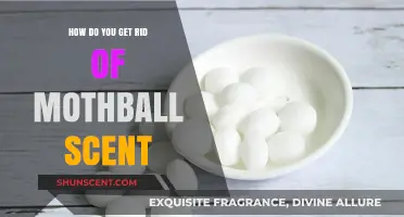 Effective Ways to Eliminate Mothball Smell from Your Home