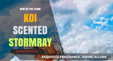 Mastering the Art of Koi-Scented Stormray: A Beginner's Guide
