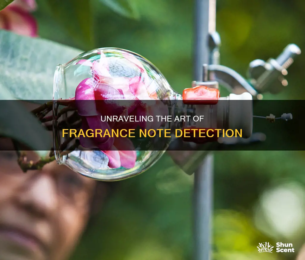 how do you learn to pick up notes in fragrance