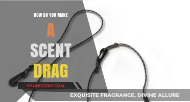 Mastering Scent Drag Techniques: A Step-by-Step Guide for Hunters