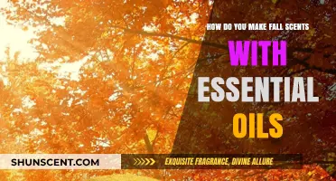 Crafting Cozy Fall Aromas: Essential Oil Blends for Autumn Vibes