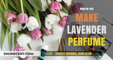 Making Lavender Perfume: A Beginner's Guide