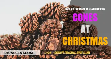 Crafting Festive Scented Pine Cones for a Cozy Christmas Home