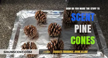 Crafting Fragrant Pine Cones: A Simple DIY Scenting Guide