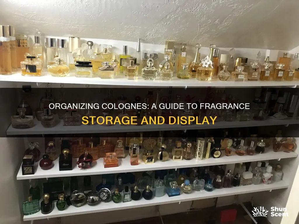 how do you organize your colognes