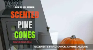 Revitalize Your Scented Pine Cones: Simple Refreshing Tips and Tricks