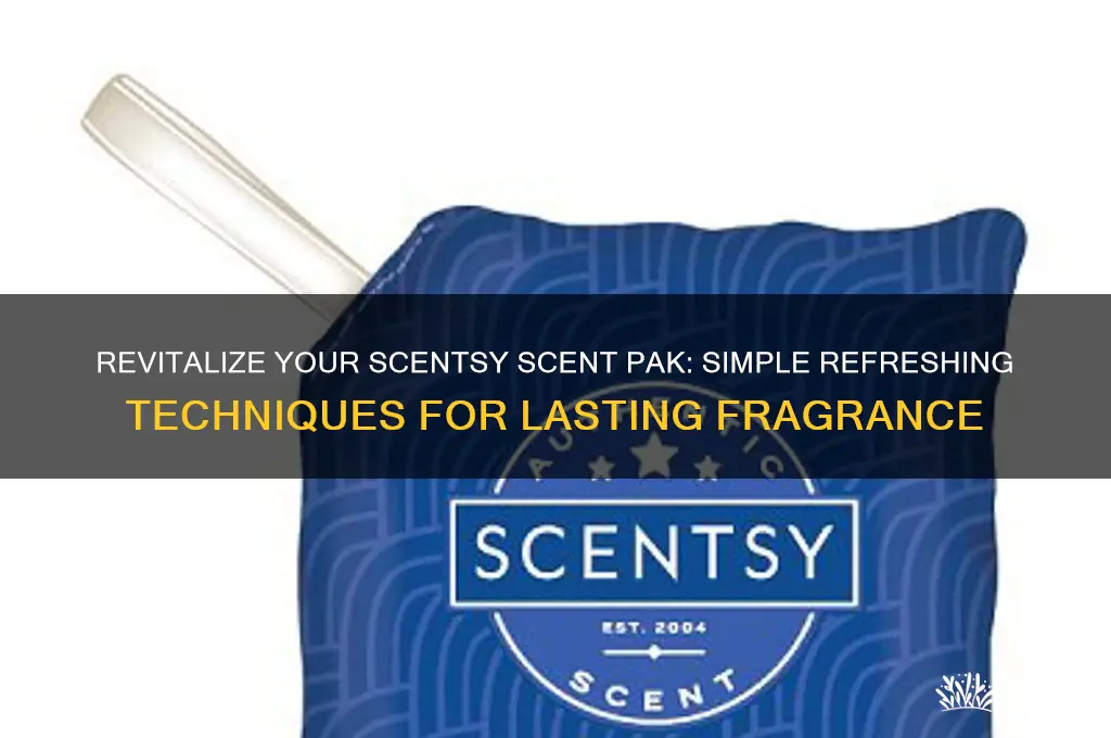 how do you refresh scentsy scent pak