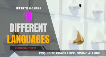 Aroma Across Languages: A Multilingual Exploration of Fragrance