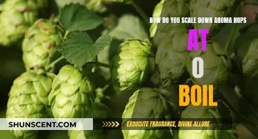 Scaling Aroma Hops: Zero Boil, Maximum Flavor