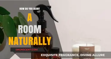 Natural Room Scents: Simple, Eco-Friendly Ways to Freshen Your Space