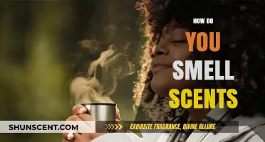 Unraveling the Science of Smell: How We Detect and Experience Scents