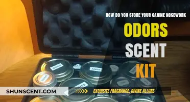 Effective Canine Nosework Odor Kit Storage Tips for Optimal Scent Preservation