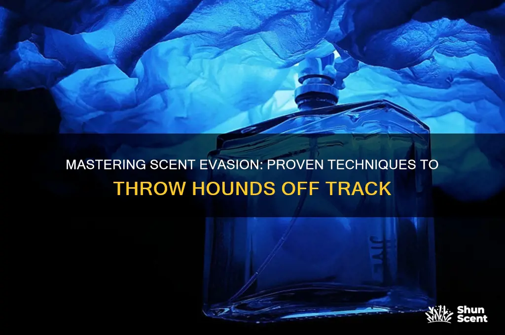 how do you throw hounds off the scent