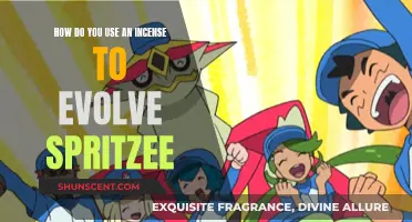 Incense Evolution: Spritzee's Fragrance Transformation
