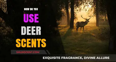 Mastering Deer Scents: Effective Techniques for Attracting Whitetail Deer