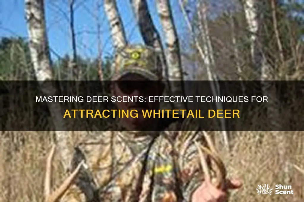how do you use deer scents