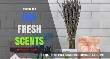 Fresh Scents: Creative Ways to Enhance Your Home and Mood