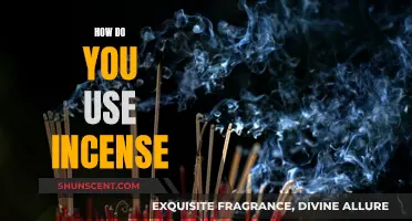 Incense Appreciation: A Guide to Burning Incense