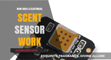 Understanding Electrical Scent Sensors: Functionality and Working Principles Explained