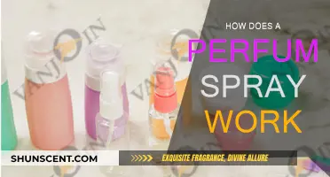 Understanding the Science of Perfume Spray