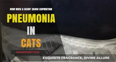 Scent-Induced Aspiration Pneumonia in Cats: Causes and Prevention Tips