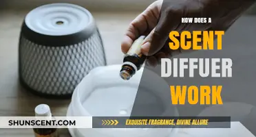 Understanding Scent Diffusers: How They Work and Enhance Your Space