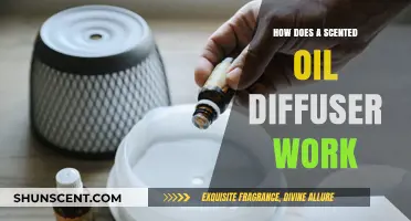 Unveiling the Magic: How Scented Oil Diffusers Work