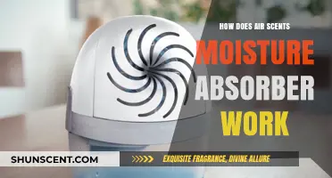 How Air Scents Moisture Absorbers Work: A Comprehensive Guide