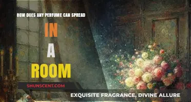 The Mystery of Perfume Diffusion in a Room