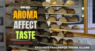 The Science of Aroma and Taste: How Smell Enhances Flavor