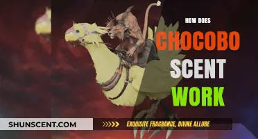 Unveiling the Mystery: How Chocobo Scent Works and Its Uses
