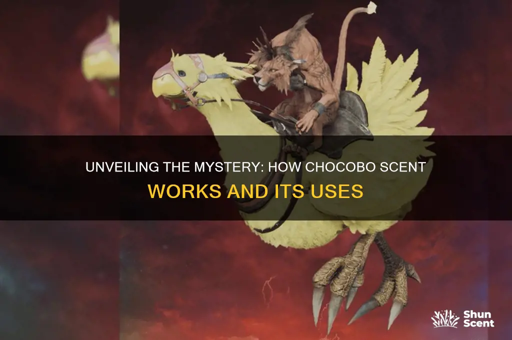 how does chocobo scent work