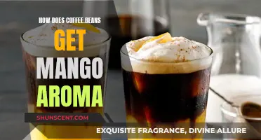 The Magic Behind Coffee Beans' Mango Aroma