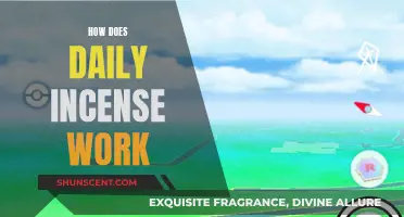 Understanding Daily Incense Rituals and Their Effects