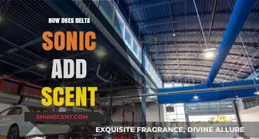 Delta Sonic's Scent Secrets: How They Add Fragrance to Services