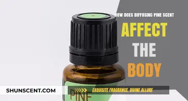 Pine Scent Diffusion: Unlocking Physical and Mental Wellness Benefits Naturally