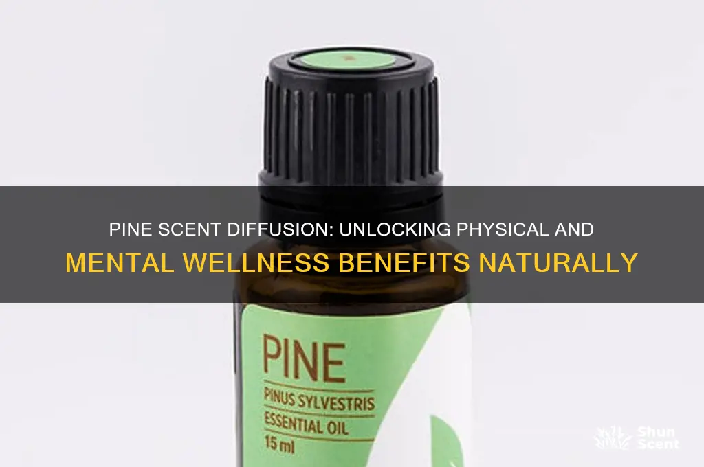 how does diffusing pine scent affect the body