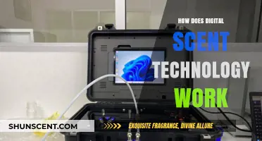Unveiling Digital Scent Technology: How It Works and Its Applications